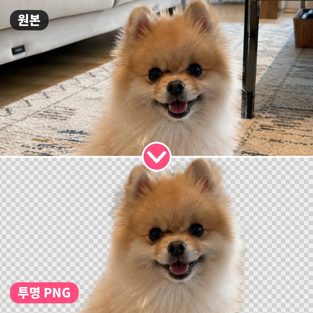 배경 제거