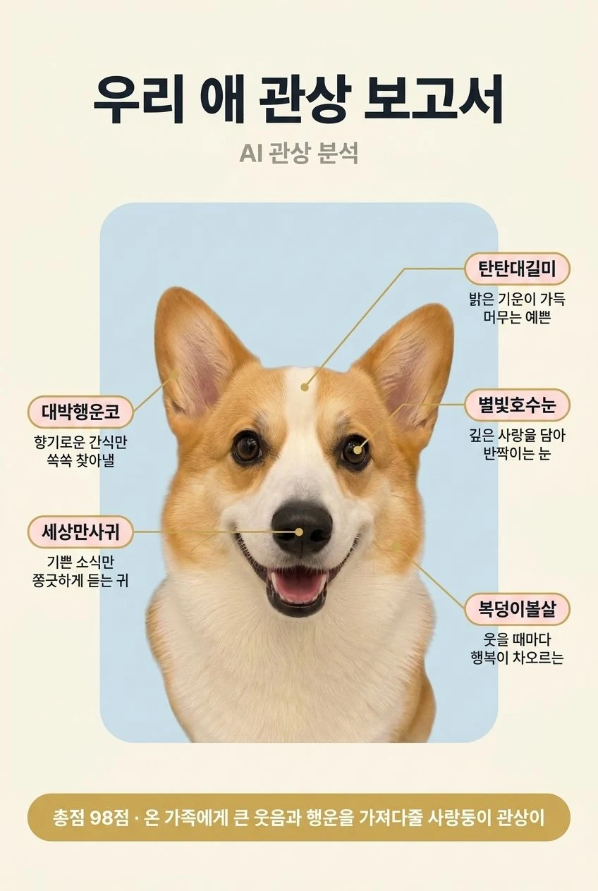 펫 관상 영수증